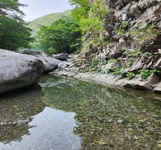 지장산계곡