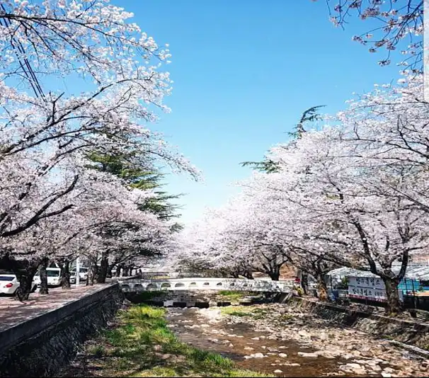 만수흑염소