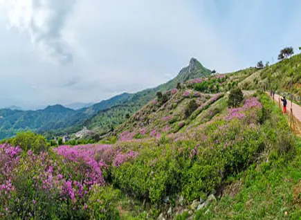 산청황매산미리내파크