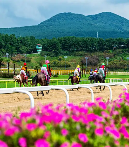 렛츠런파크 제주