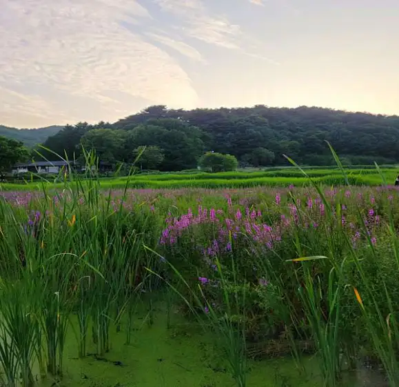 상당산성