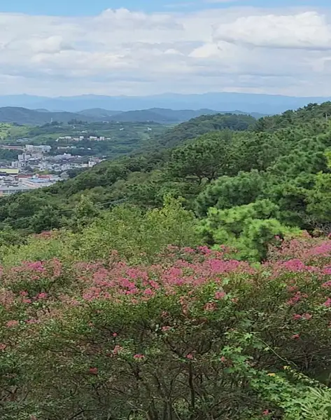 비봉산