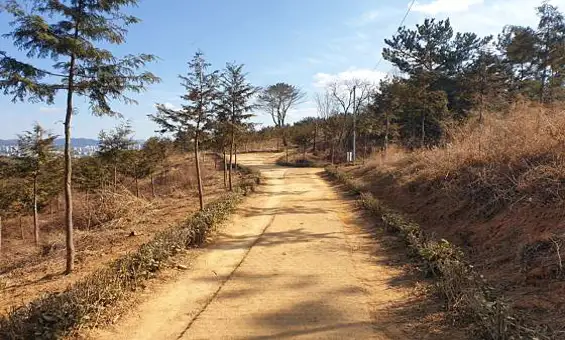 선학산전망대